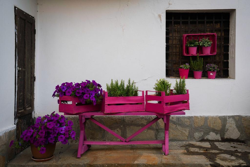 Agriturismo Cascina Del Vai Cairo Montenotte Buitenkant foto