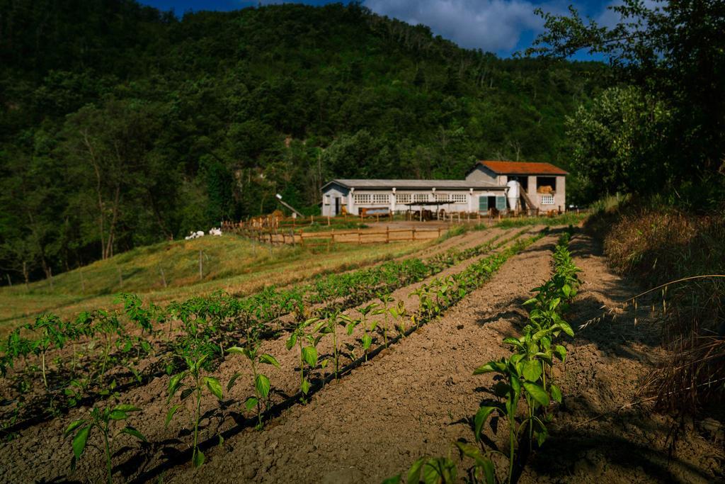 Agriturismo Cascina Del Vai Cairo Montenotte Buitenkant foto